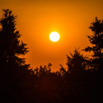 sunset pine frame