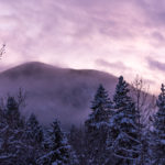 purple mountain haze