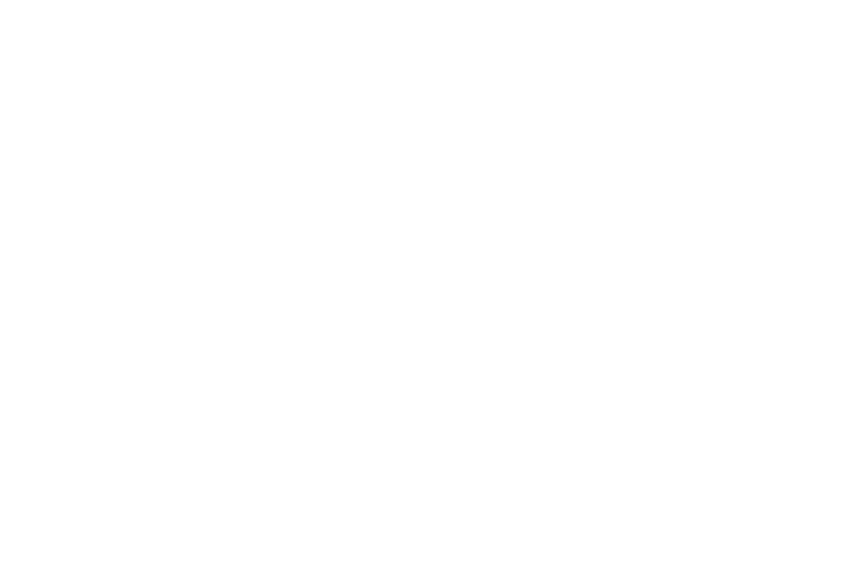 duluth superior film festival laurel